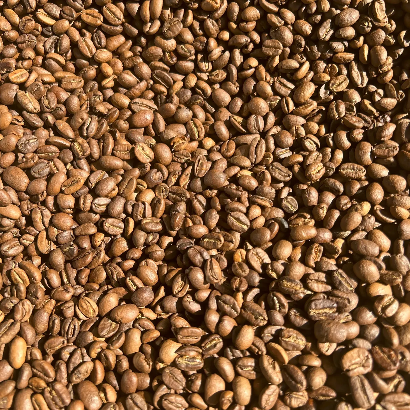 EL SALVADOR PREMIUM Santa Ana - SHG EP - Finca Palin кофе молотый арабика средней обжарки