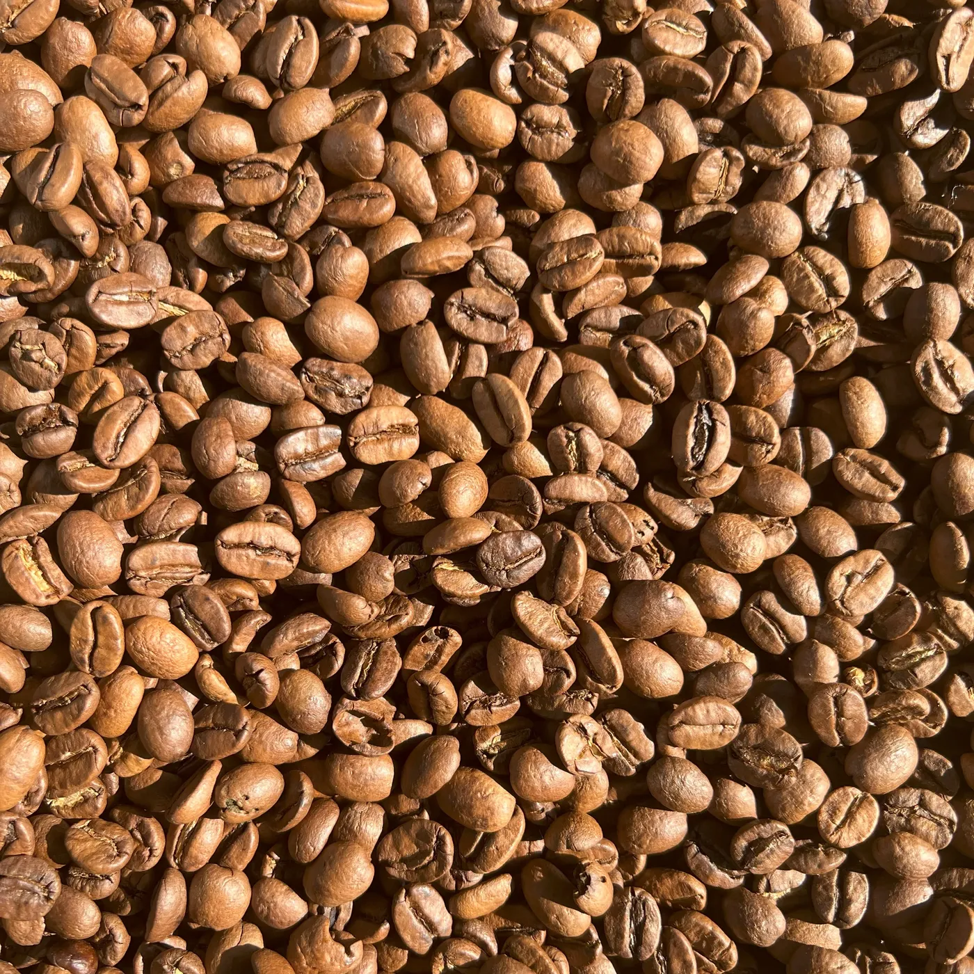 Купаж кофе молотый CHOCOLATE COFFEE, Бленд кофе средней обжарки - Премиальная смесь арабики 100% (Свежеобжаренный Премиум Кофе)