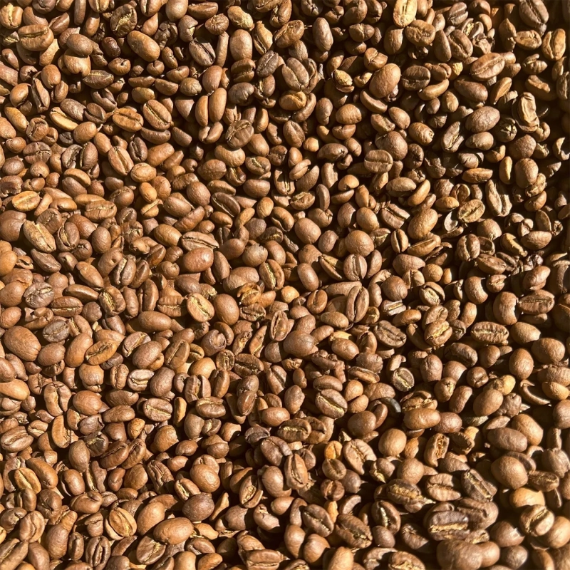 EL SALVADOR PREMIUM Santa Ana - SHG EP - Finca Palin кава в зернах арабіка середнього обсмаження