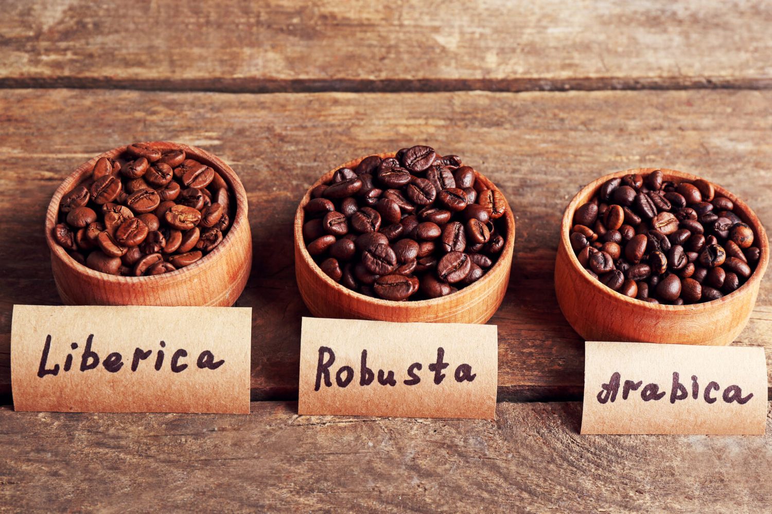putivnyk po asortymentu kucheryava kava 3